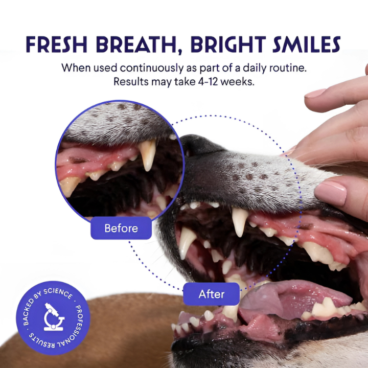 Petura Dental+ Gum Powder