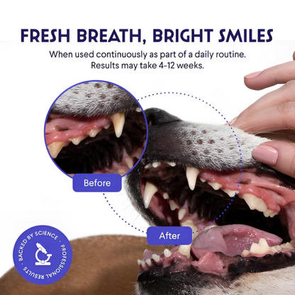 Petura Dental+ Gum Powder