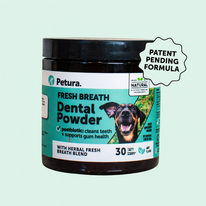 Petura Dental+ Gum Powder
