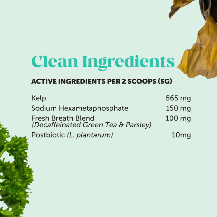 Petura Dental+ Gum Powder