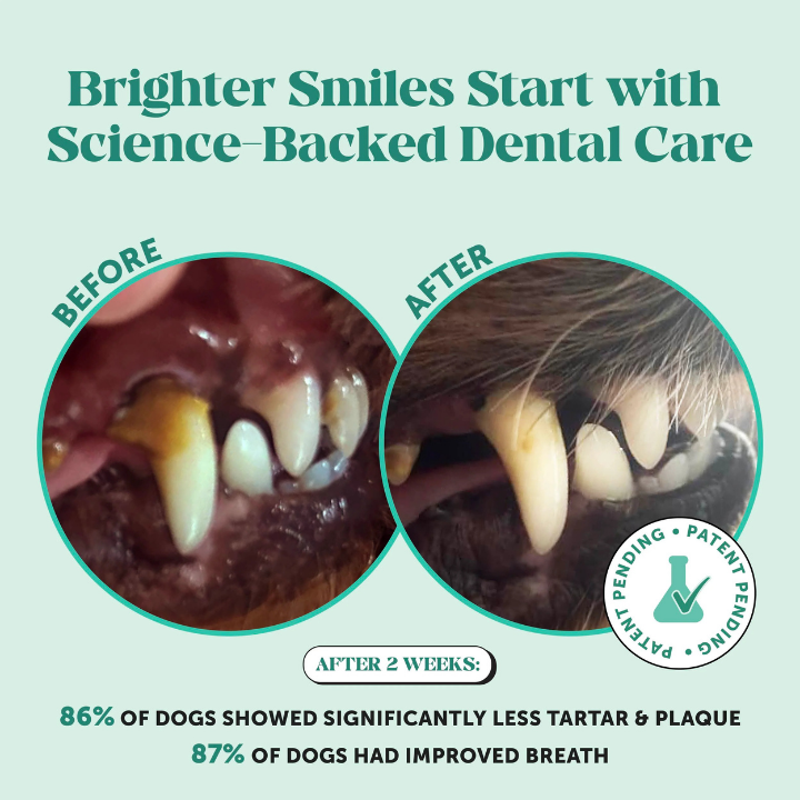 Petura Dental+ Gum Powder