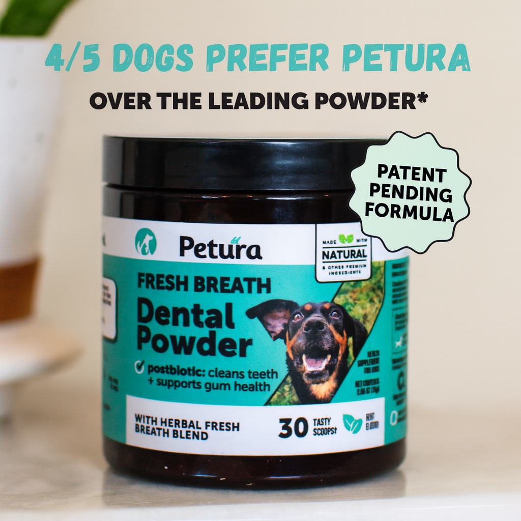 Petura Dental+ Gum Powder