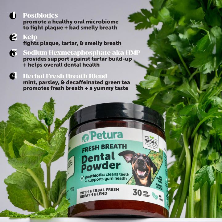Petura Dental+ Gum Powder